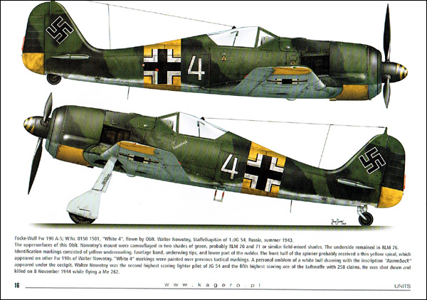 JG 54 - Green heart fighters